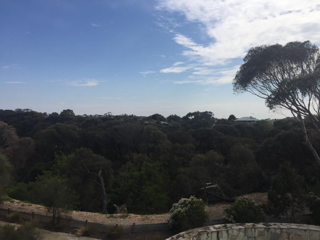 Onshore Torquay Rom bilde